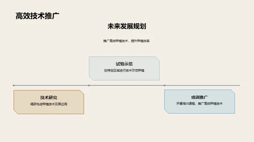 农场种植优化策略