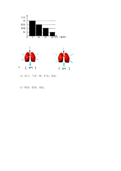 教科版四年级上册科学期末测试卷（考试直接用）.docx