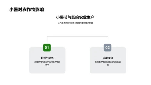 小暑节气农业生态