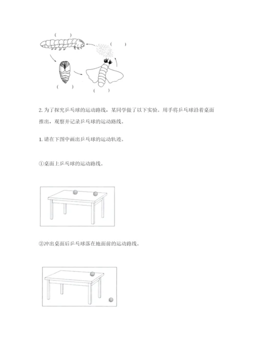 教科版小学科学三年级下册期末测试卷附答案ab卷.docx