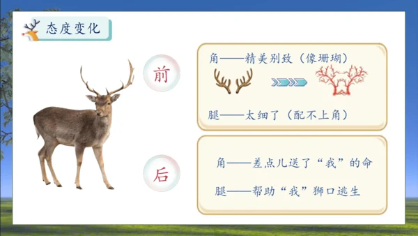 【核心素养】部编版语文三年级下册-7. 鹿角和鹿腿 第2课时（课件）