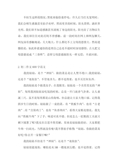 初二作文600字范文(5篇).docx