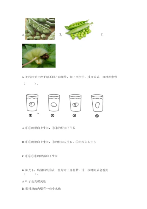 教科版四年级下册科学第一单元《植物的生长变化》测试卷【a卷】.docx