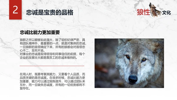 团队企业文化狼性文化员工培训PPT