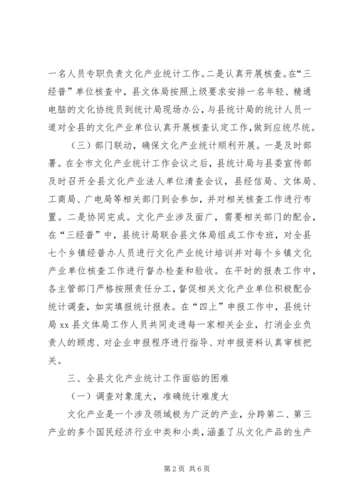 县文化产业统计工作情况汇报.docx