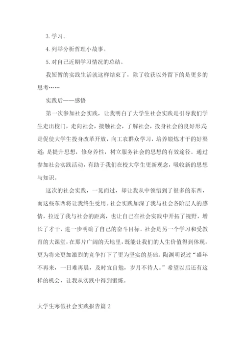 大学生寒假社会实践报告(精选7篇).docx