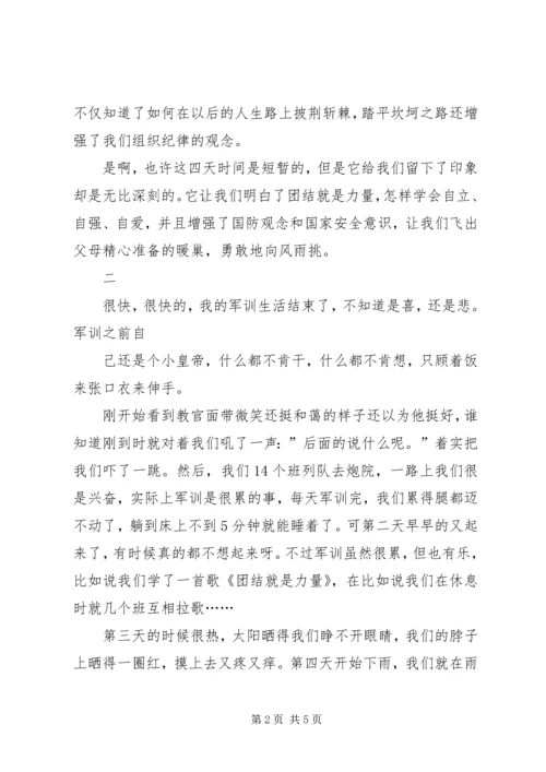 第一次卖旗感想.docx