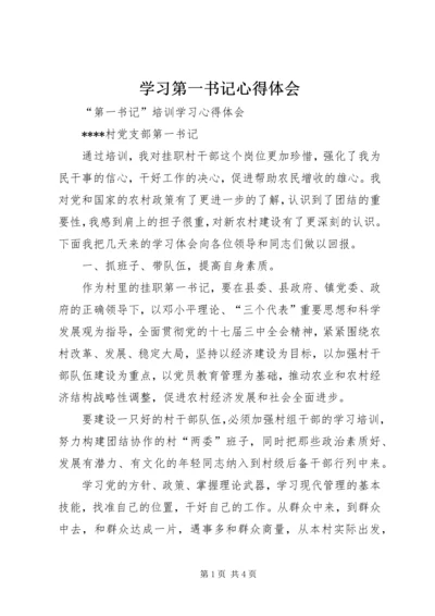 学习第一书记心得体会最新精编.docx