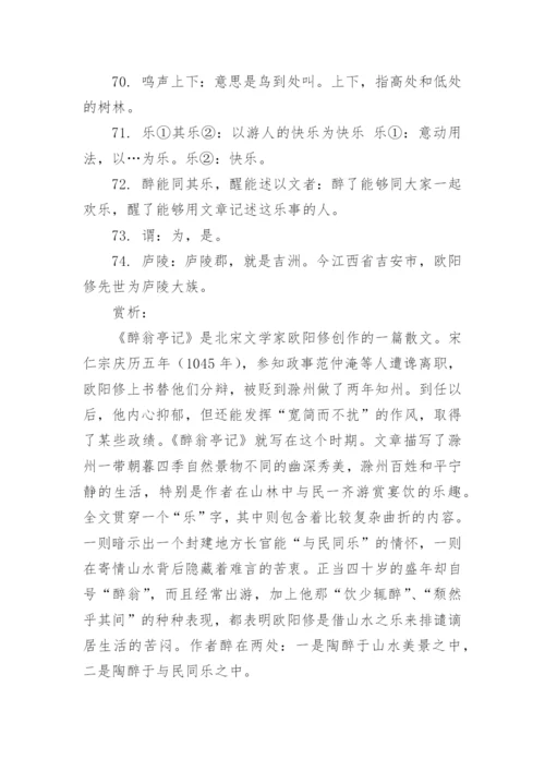 醉翁亭记译文及注释.docx
