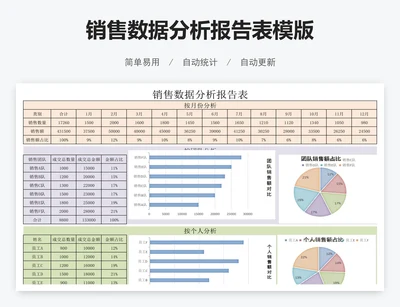 销售数据分析报告表模版