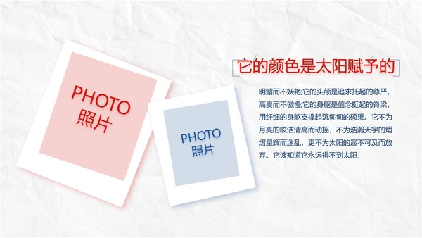 五四青年节为生命呐喊热血青春PPT动态