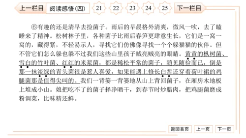 统编版八上语文第二次月考综合检测卷 习题课件（41张PPT）