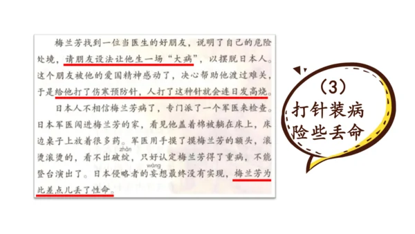 统编版语文四年级上册 语文第七单元期末复习   课件