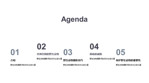 探索非洲野生动物之旅