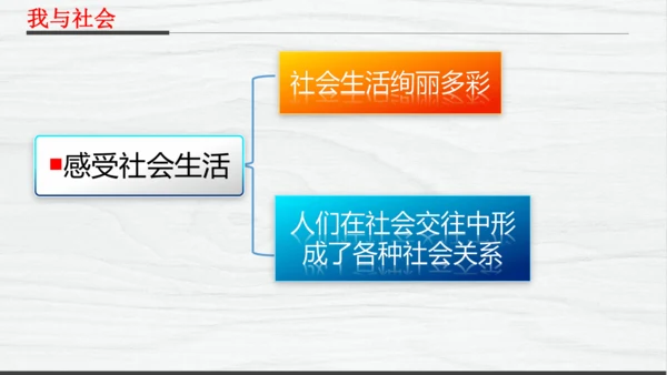部编版八上道德与法治教材解读