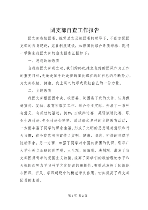 团支部自查工作报告.docx