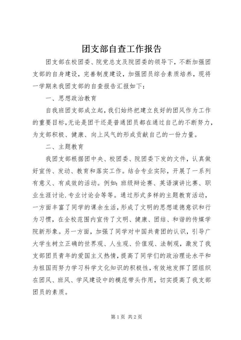 团支部自查工作报告.docx