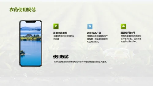 茶园病虫害科学防治
