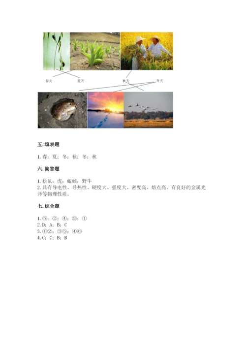教科版科学二年级上册期末考试试卷（综合题）.docx