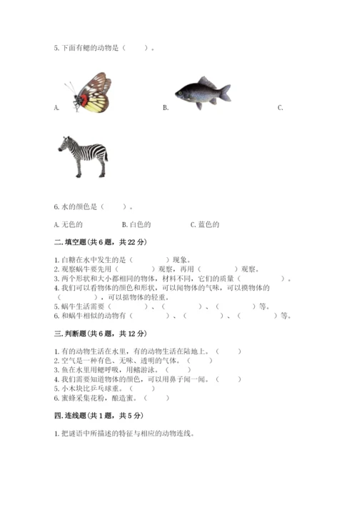 教科版小学科学一年级下册期末测试卷及答案【网校专用】.docx