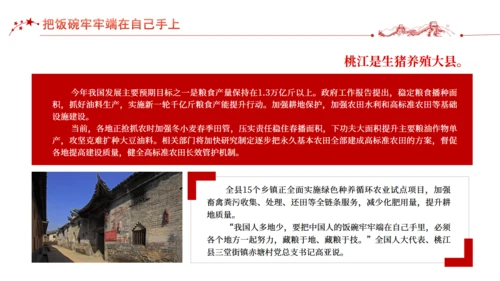 推进农业落实两会精神通用PPT模板