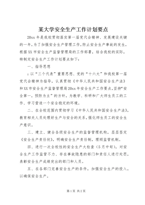 某大学安全生产工作计划要点 (4).docx