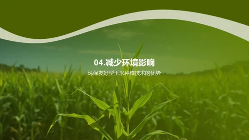 绿色农业：玉米种植新篇章