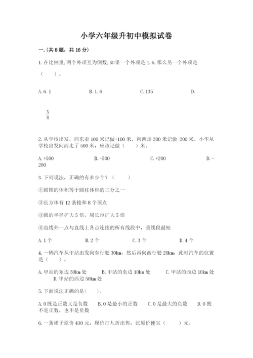 小学六年级升初中模拟试卷精品（典优）.docx