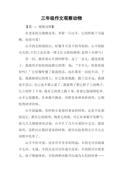 三年级作文观察动物.docx