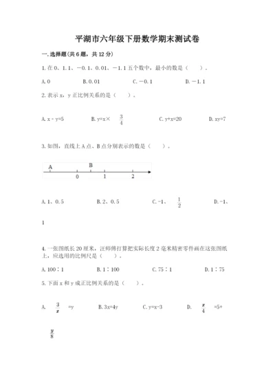 平湖市六年级下册数学期末测试卷往年题考.docx