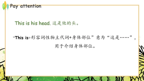 Module 10 Unit 1 This is his head  课件(共32张PPT)