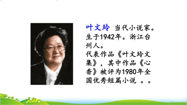 27 我的“长生果“   课件