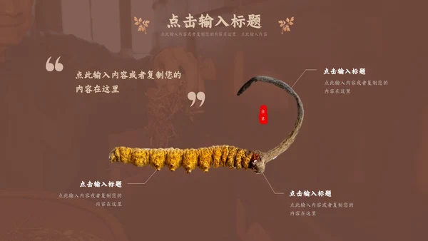 褐色传统中医药文化介绍培训PPT模板
