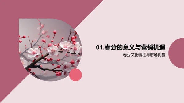 春分营销新策
