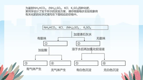 人教版九年级化学《化学肥料》PPT课件