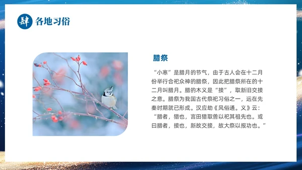 蓝色鎏金风中国二十四传统节气之小寒介绍PPT