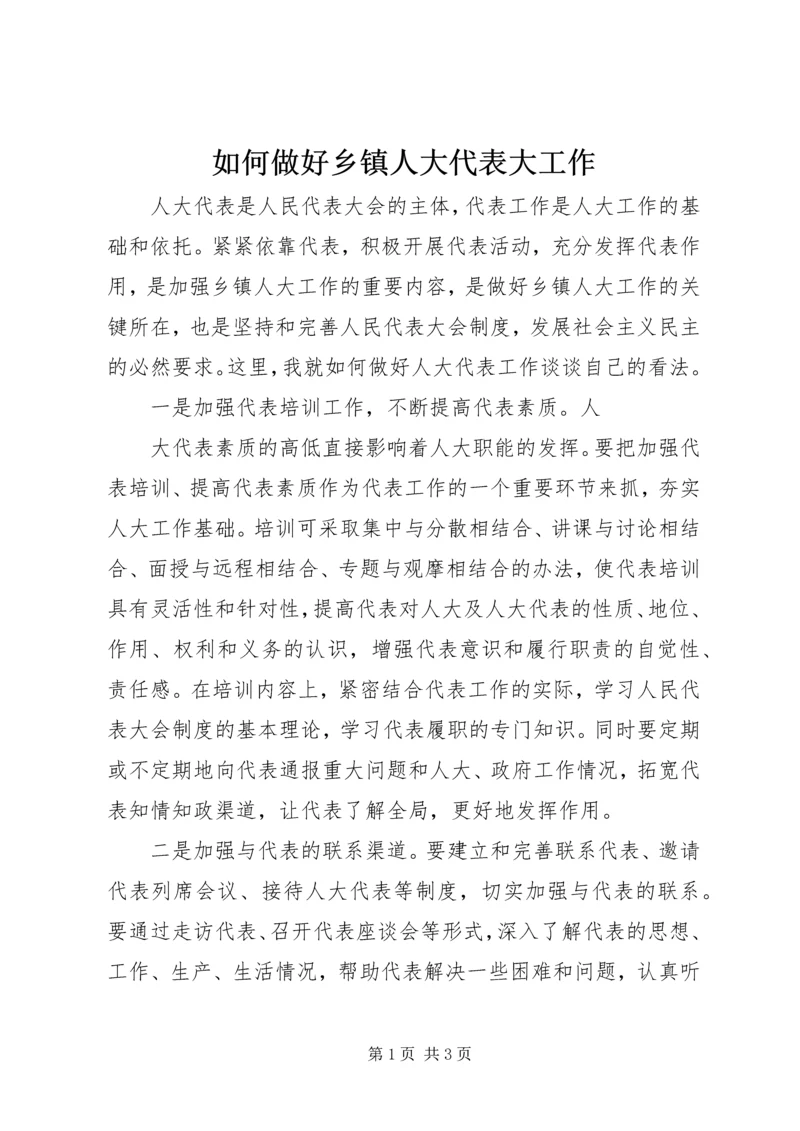 如何做好乡镇人大代表大工作 (2).docx