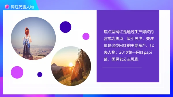 大数据时代下网红现象调查PPT模板