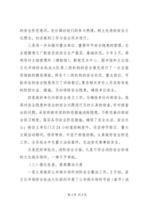 文广局XX年安全生产工作总结及XX年安全工作计划.docx