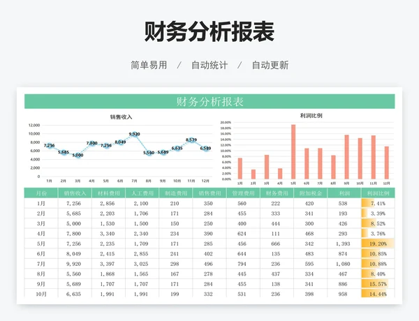 财务分析报表