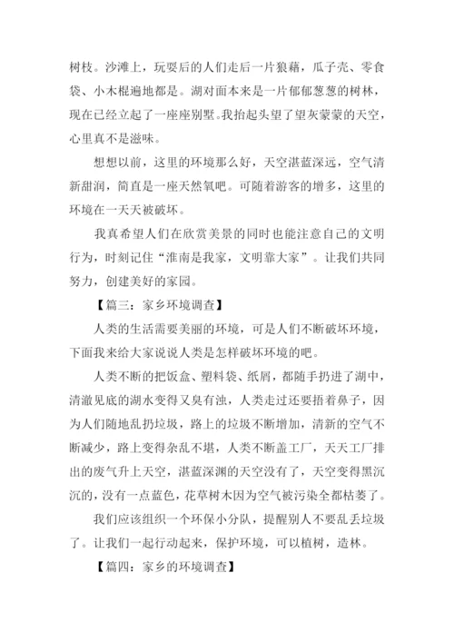家乡环境调查作文.docx