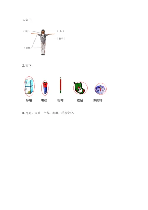 教科版二年级下册科学期末测试卷有答案解析.docx