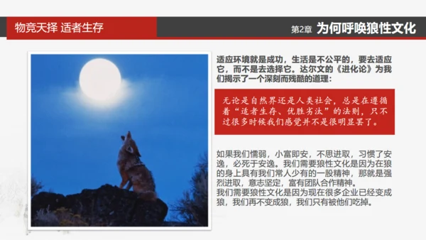 狼性文化通用PPT模板