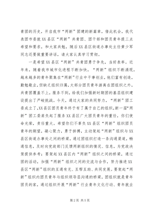 团市委副书记王金京在XX县区“两新”组织团工委成立大会上的讲话.docx