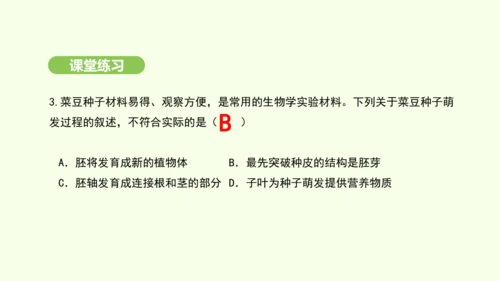 第三单元-第一章-第一节-种子的萌发课件-2024-2025学年七年级生物下学期人教版(2024)(