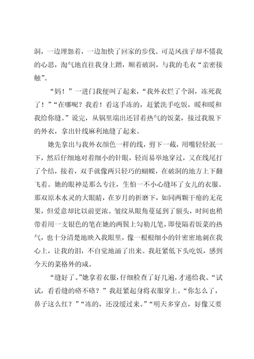 母爱作文初三
