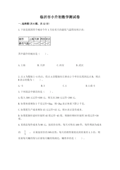 临沂市小升初数学测试卷汇编.docx