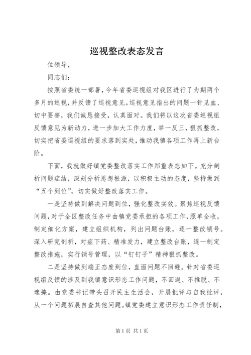 巡视整改表态发言 (2).docx