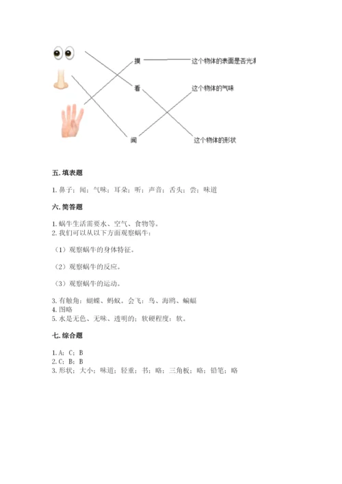 教科版一年级下册科学期末测试卷附参考答案（考试直接用）.docx