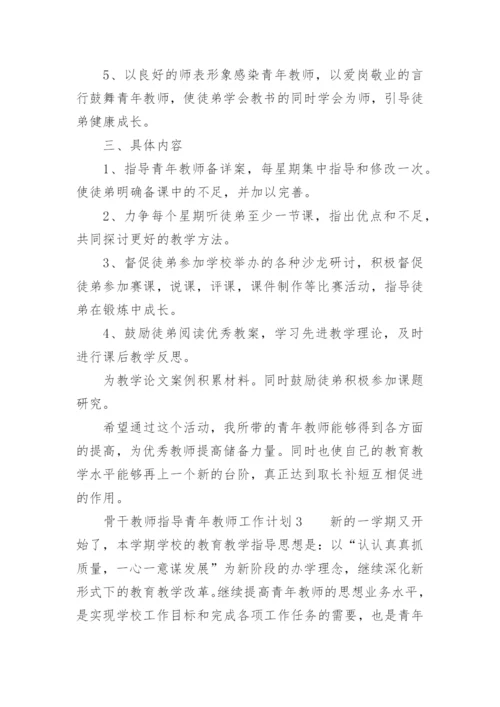 骨干教师指导青年教师工作计划.docx